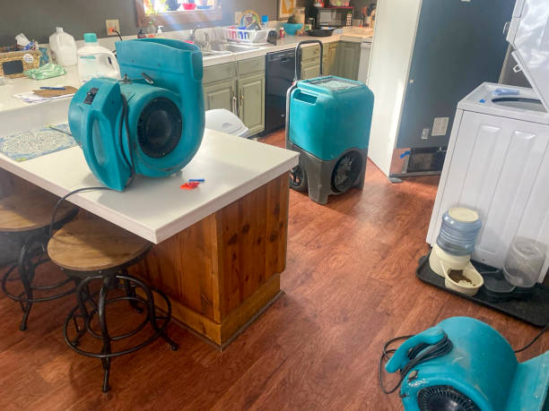 Trusted Channel Islands Beach, CA Water damage restoration Experts