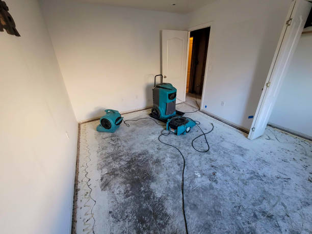 Best Flood restoration services  in Channel Islands Beach, CA