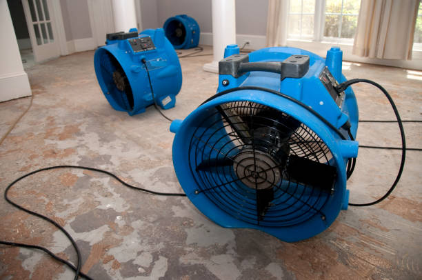 Best Ceiling water damage repair  in Channel Islands Beach, CA