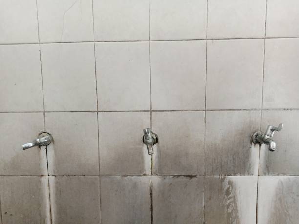 Best Professional water damage repair  in Channel Islands Beach, CA