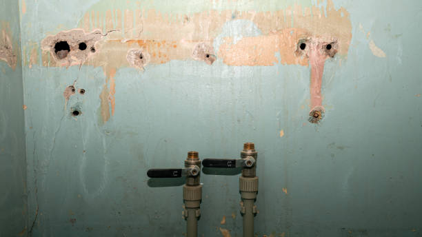 Best Water damage restoration near me  in Channel Islands Beach, CA